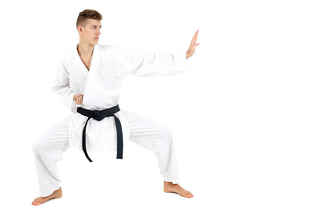 karatist - kicking tae kwon do martial arts flying fotografías e imágenes de stock