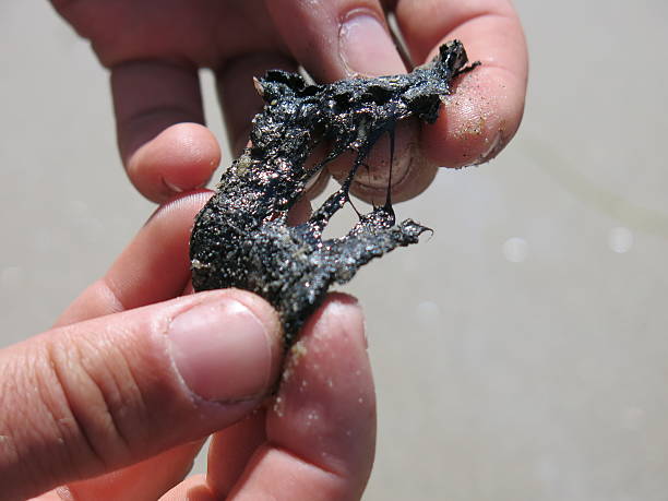 black chunks from crude oil spill at beach - santa monica venice beach california santa monica beach imagens e fotografias de stock