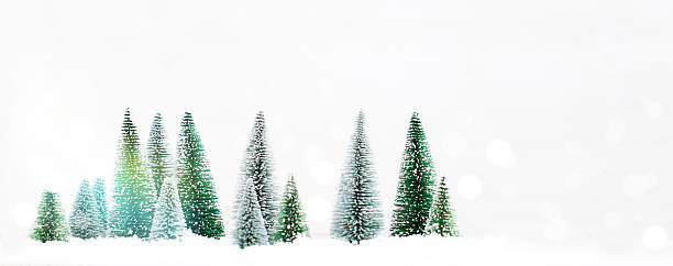foresta invernale innevata - cartolina di natale - schneelandschaft foto e immagini stock