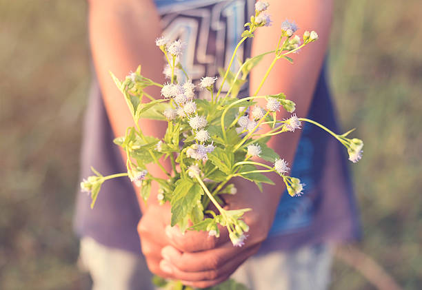 istock Boy hands holding a flower in green meadow. 615885956