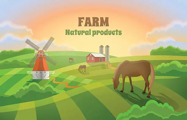 Vector illustration of Farm with green fields. Rural landscape  a mill.