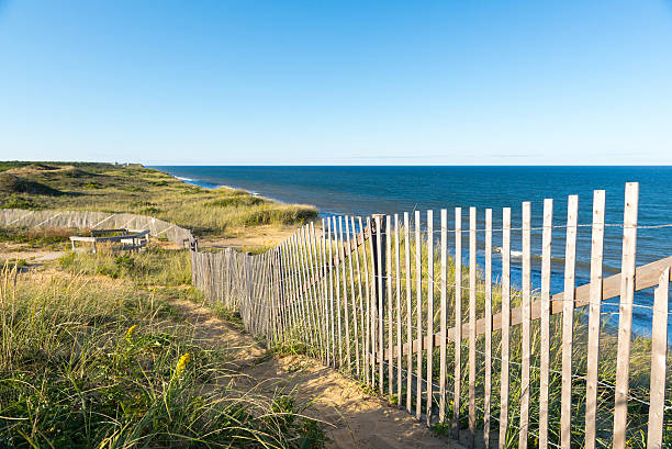istock fence on sand dune near the Atlantic ocean, Cape Cod 615888322