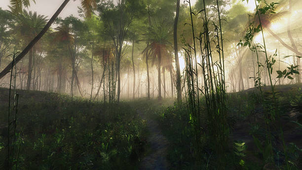 istock Pathway in foggy jungle with sun rays. 615889396