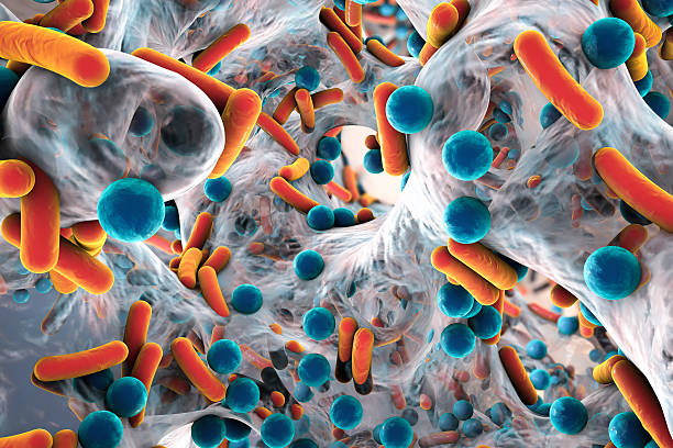 biofilm of antibiotic resistant bacteria - 微生物學 插圖 個照片及圖片檔