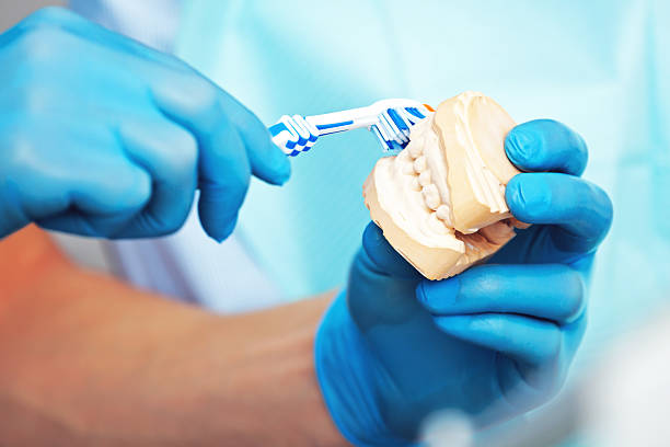 istock Toothbrush and molds - explaining how to properly brush teeth. 615891020