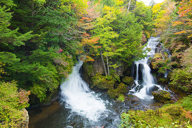 istock Waterfall of Japan 615891166