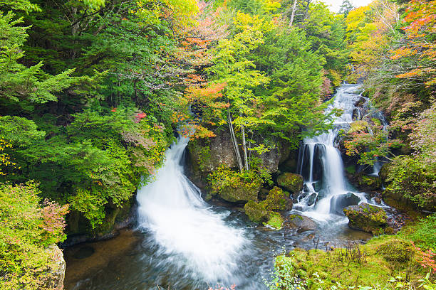 istock Waterfall of Japan 615891306
