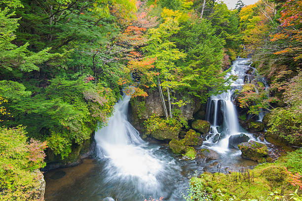 istock Waterfall of Japan 615891420