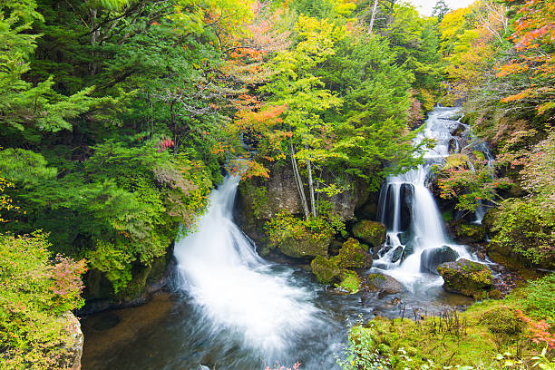 istock Waterfall of Japan 615891536