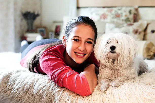 Bestfriends, little girl and maltese dog