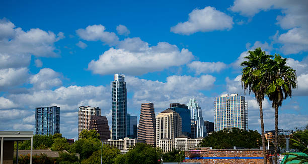 istock Austin Texas Paradise Palm Trees Capital Cities 615893186