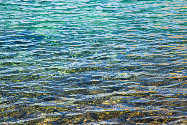 istock surface of the water in the lake 615894584