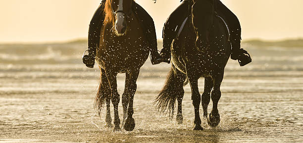 istock Horse riding on the beach at sunset 615896596