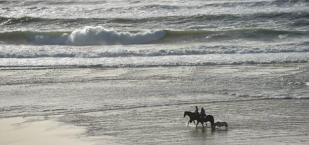 istock Horse riding on the beach at sunset 615896746