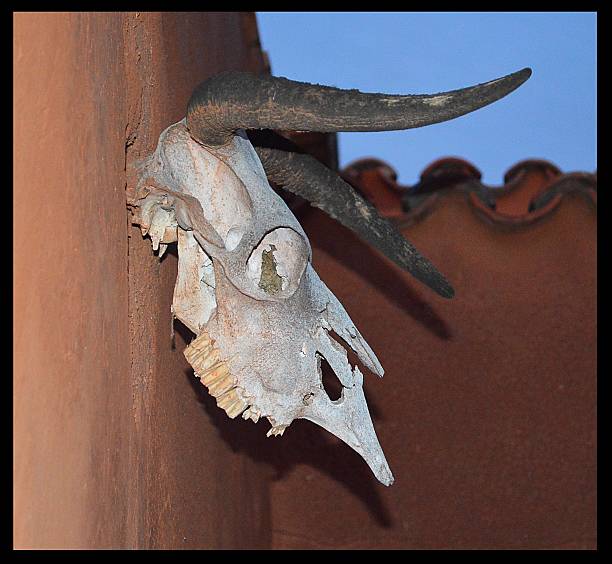 istock Southwestern Santa Fe Adobe Home 615899514