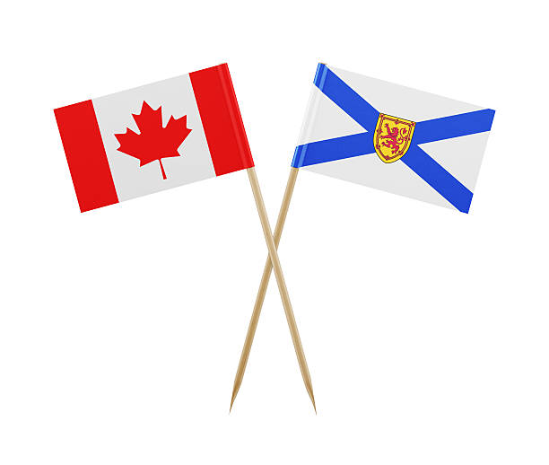 istock Tiny Canadian and Nova Scotia Flag on a Toothpick 615899688