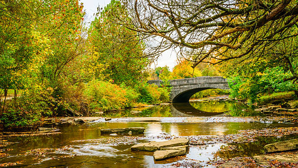 Stone Bridge in a park setting Stone bridge spanning Beargrass Creek in Cherokee Park Louisville, Kentucky. louisville kentucky stock pictures, royalty-free photos & images