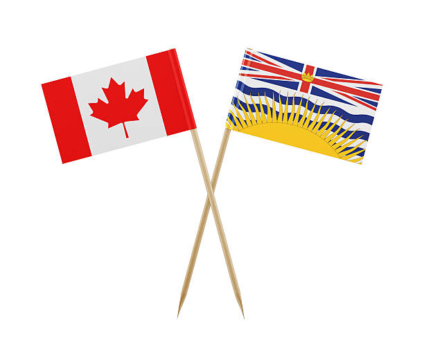 istock Tiny Canadian and British Columbia Flag on a Toothpick 615900210