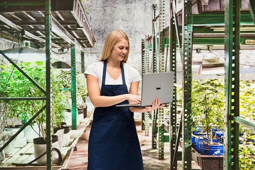 Smiling florist working on laptop in greenhouse