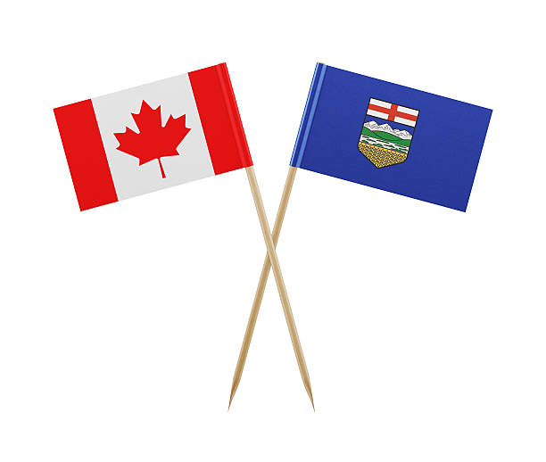 istock Tiny Canadian and Alberta Flag on a Toothpick 615900368