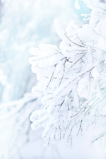 istock Gentle soft blurred winter New Year's background 615900820