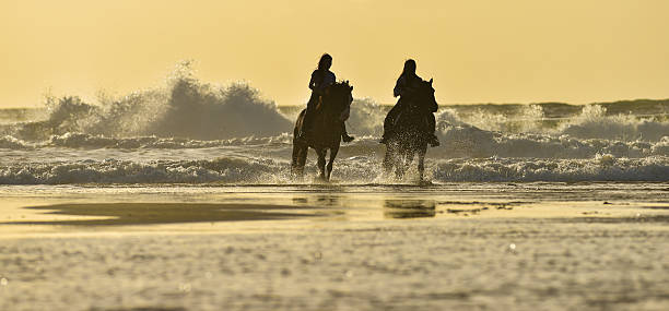 istock Horse riding on the beach at sunset 615900826