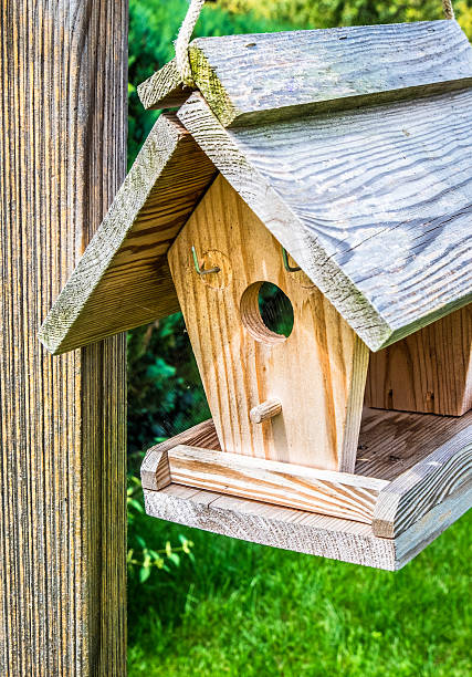 istock wooden birdhouse 615902206