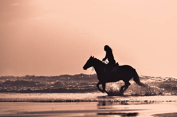 Horse riding on the beach at sunset, France