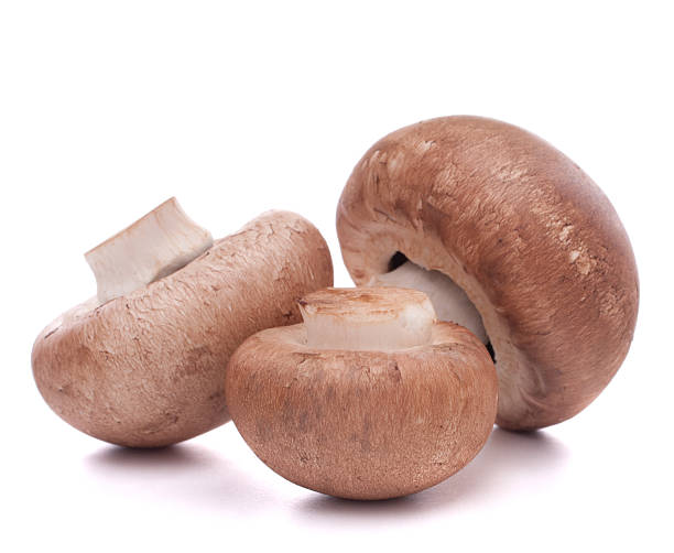 istock Brown mushroom mushroom 615903544