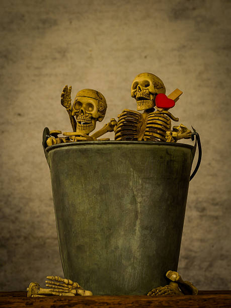 istock Still life of skull 615904126