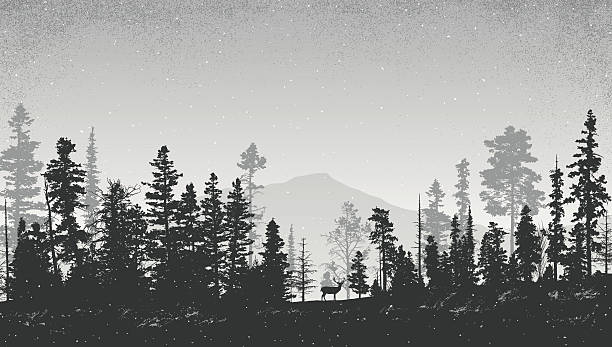 bildbanksillustrationer, clip art samt tecknat material och ikoner med winter landscape with pine trees - skog