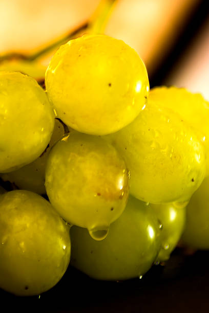 Bunch of grapes on a black slate stone