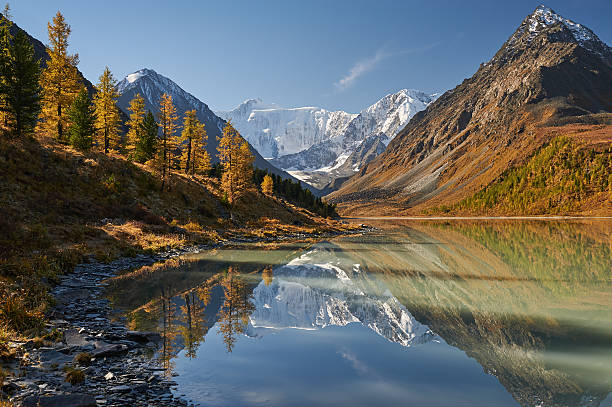 beautiful autumn landscape, altai mountains russia. - russia river landscape mountain range imagens e fotografias de stock
