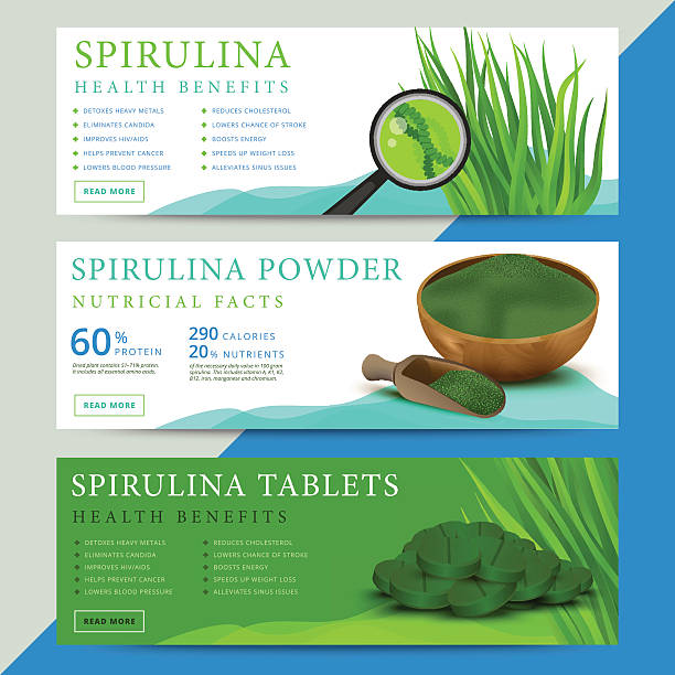 스피룰리나 조류 정보 웹 사이트 세트 - spirulina bacterium green vitamin pill medicine stock illustrations