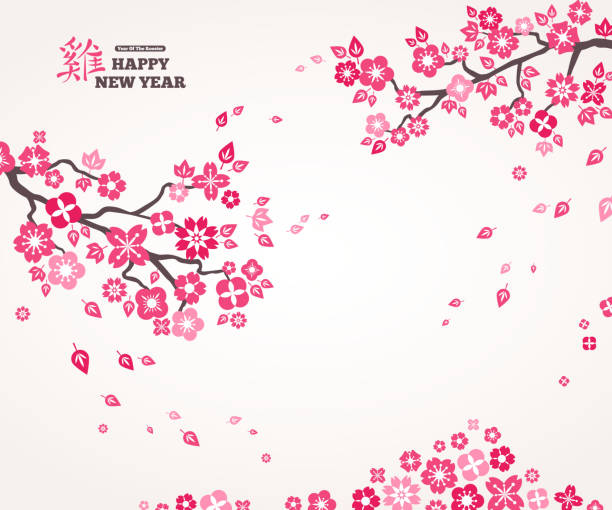 różowe kwiaty sakura na białym tle - new year stock illustrations