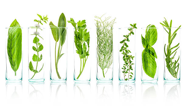 Close Up bottles of essential oils with fresh herbs .