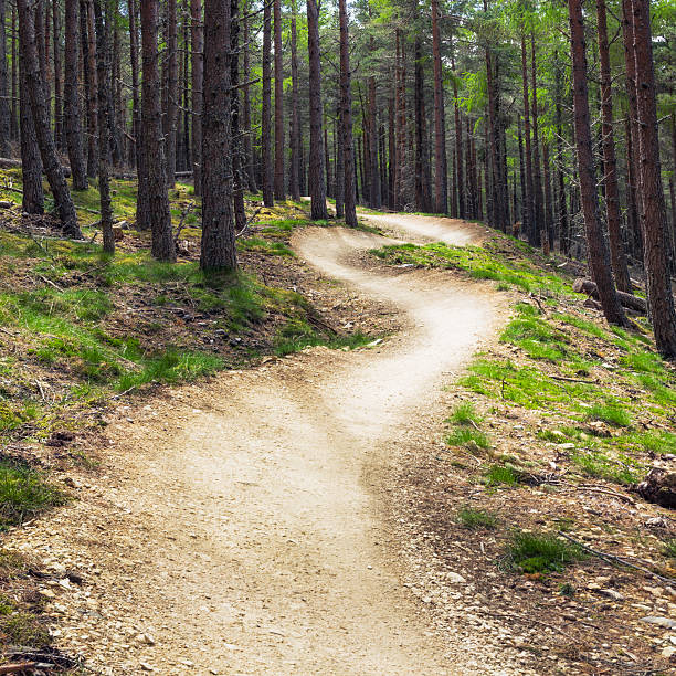 Mountainbike forest track with banked berms A winding track for mountainbikes in a Scottish pine forest, with banked curves. mountain bike stock pictures, royalty-free photos & images