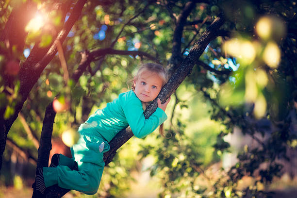 istock Little girl with pigtails on the tree 615914348