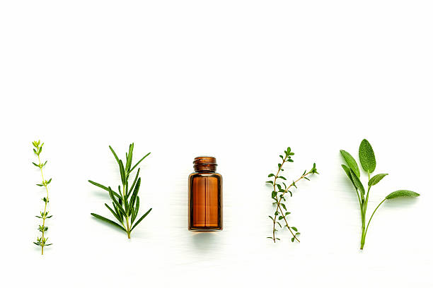Bottle of essential oil with  fresh herbal .