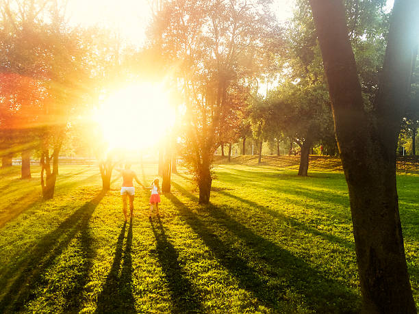 Mother and daughter are walking in the park holding their hands in late summer afternoon. Genuine lens flare, toned image, mobile stock.