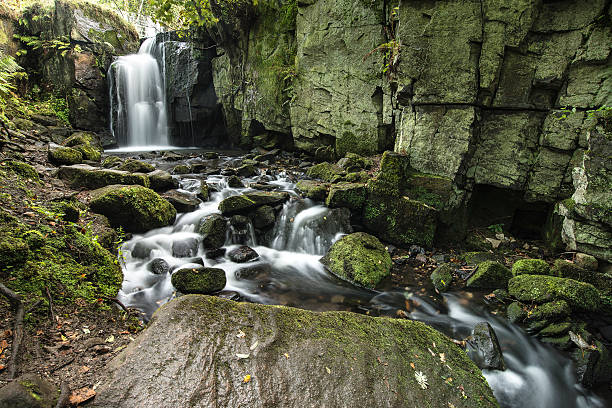 istock Beautiful waterfall in forest landscape long exposure flowing th 615918908