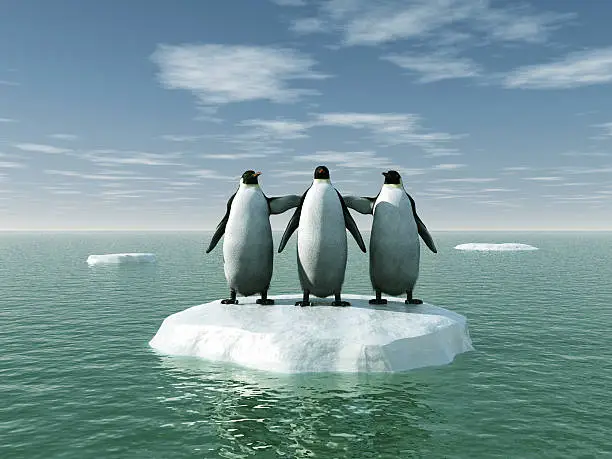 Photo of Three penguins on an ice floe