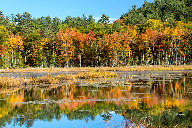 istock Fall foliage and reflections in Plymouth, New Hampshire. 615920836