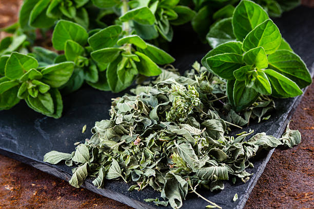 istock Fresh and dried oregano on black background 615923554