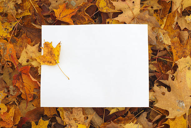istock autumn leaves background with white paper 615973642