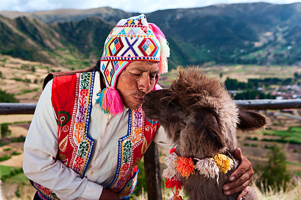 hombre peruano besando llama cerca de pisac, valle sagrado, perú - trajes tipicos del peru fotografías e imágenes de stock