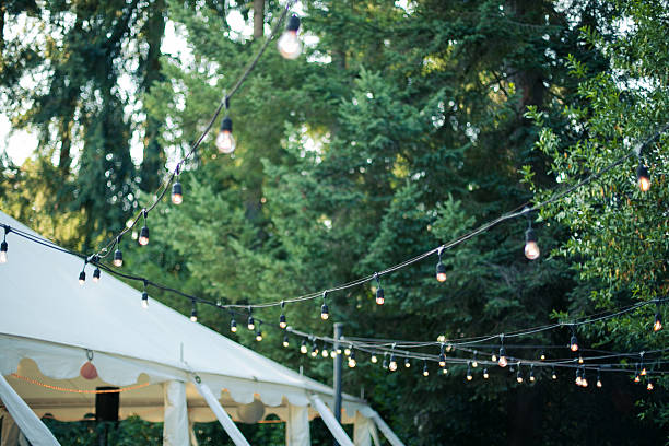 istock Decorative Outdoor Party Lights in Garden 615975356