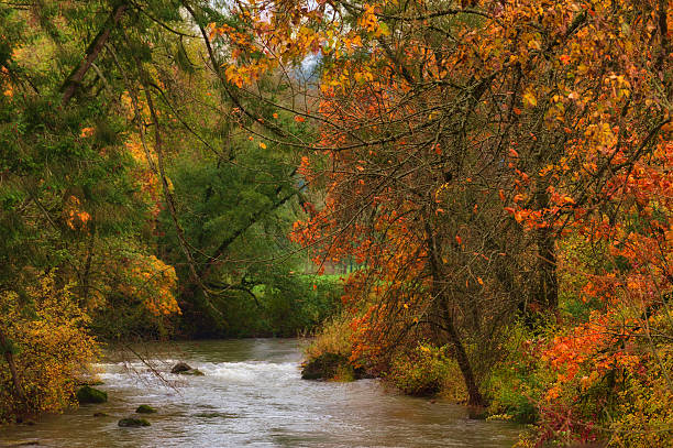 istock Autunm Colors Along the river 615976292