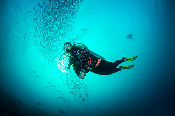 istock Female Diver - Palau, Micronesia 615976820