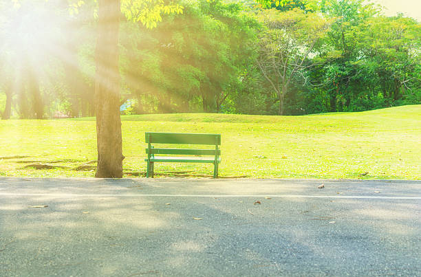 istock Bench in the city park 615976866